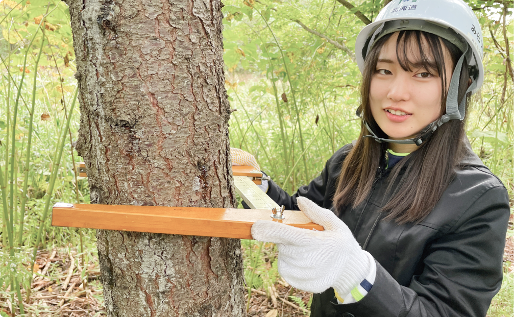 コースの特徴