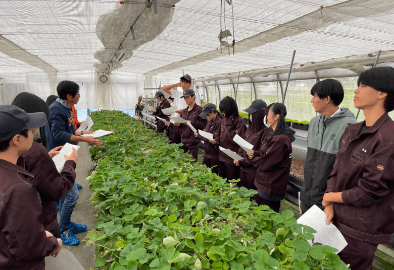 将来、農場経営がしたい、または、農業関連産業（農協、造園、販売他）に就職したい生徒